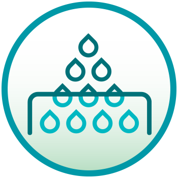 Illustration of Boosts Nutrient Absorption